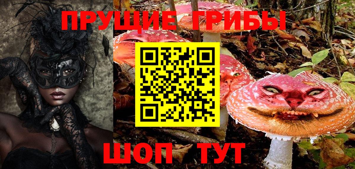 Галлюциногенные грибы мицелий  Вход с VPN  где купить наркоту  Кызыл 